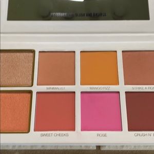 scott barnes powder blush kit